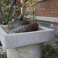 From JFK To Trump ~ Where Did All The Finks Come From?