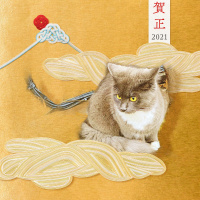 Mr. MAGA Head Is Disappointed