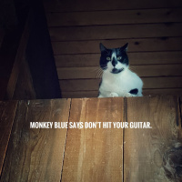 Don’t Hit Your Guitar Part 2/The Fuckoffness of 70