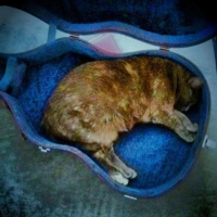 Leave It To Psmith, Wodehouse, the Family of Man headcount