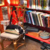 A Hippie In Cow Town, 1967