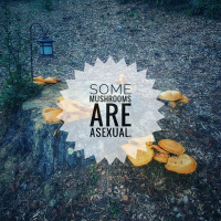 Today’s Forgotten Ones In Identity Politics: Asexuals