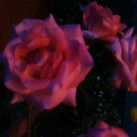 JFK, Nixon, Bay of Pigs, Thomas Jefferson on the tyranny of the wealthy