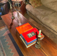 Day 146 Of The Lock Down ~ Digging Ourselves Out