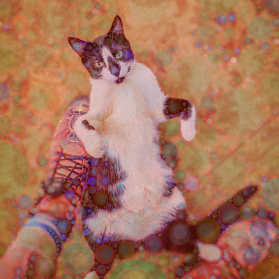 Knox Bronson ~ Riding The Wild Bubble