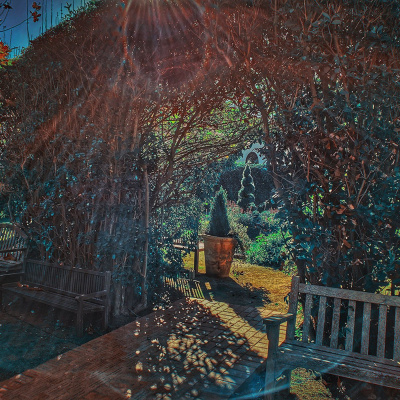 Knox Bronson ~ Riding The Wild Bubble