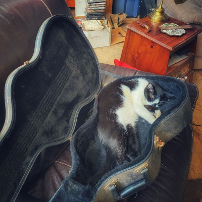 Knox Bronson ~ Riding The Wild Bubble