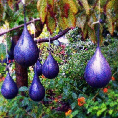 Knox Bronson ~ Riding The Wild Bubble