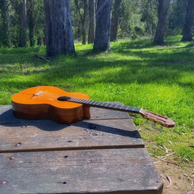 Knox Bronson ~ Riding The Wild Bubble