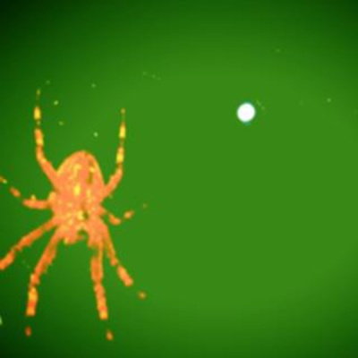 Knox Bronson ~ Riding The Wild Bubble