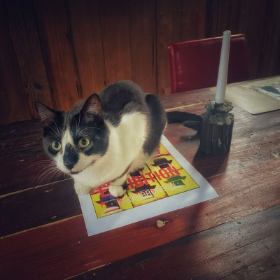 Knox Bronson ~ Riding The Wild Bubble