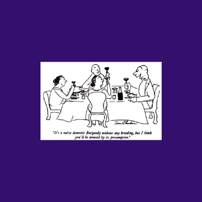 Knox Bronson ~ Riding The Wild Bubble