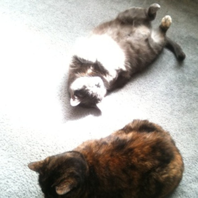 Knox Bronson ~ Riding The Wild Bubble