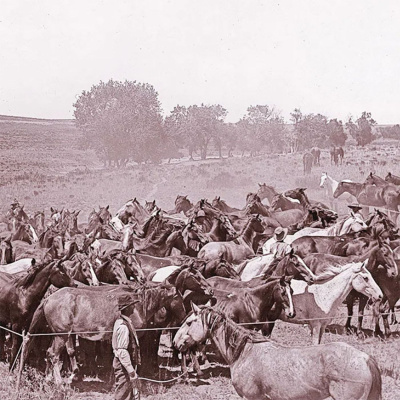 Knox Bronson ~ Riding The Wild Bubble