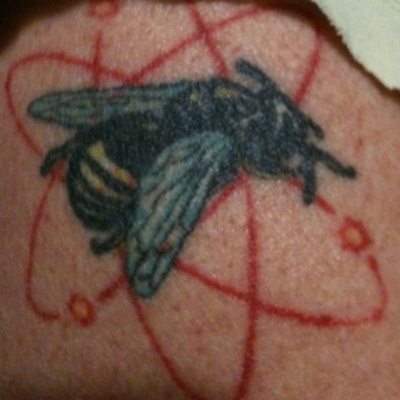 Knox Bronson ~ Riding The Wild Bubble