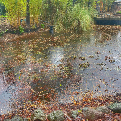 Knox Bronson ~ Riding The Wild Bubble