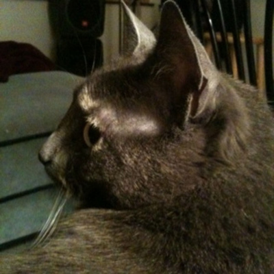 Knox Bronson ~ Riding The Wild Bubble