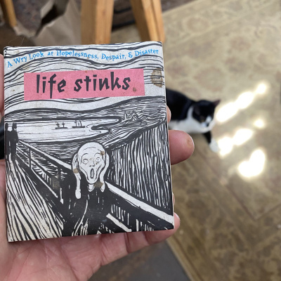 Knox Bronson ~ Riding The Wild Bubble