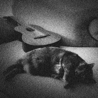 Knox Bronson ~ Riding The Wild Bubble