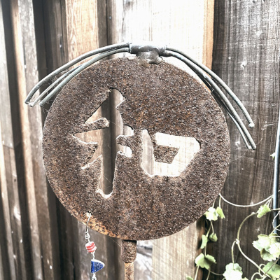 Knox Bronson ~ Riding The Wild Bubble