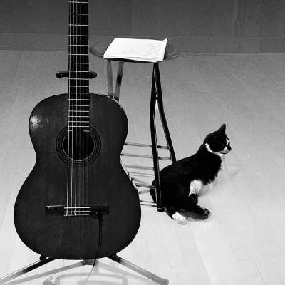 Knox Bronson ~ Riding The Wild Bubble