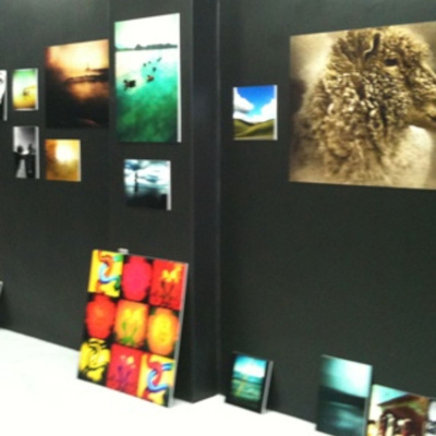 Knox Bronson ~ Riding The Wild Bubble