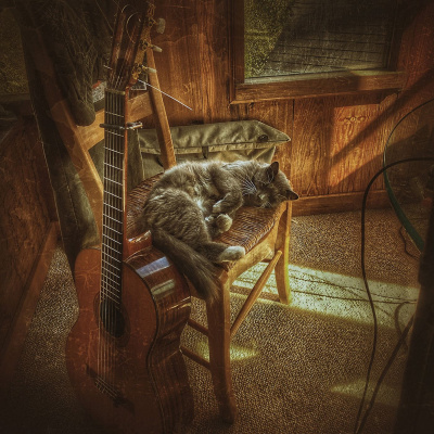 Knox Bronson ~ Riding The Wild Bubble