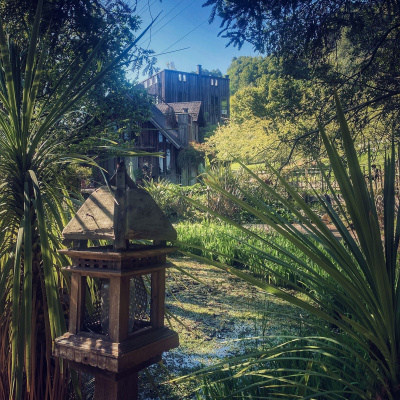 Knox Bronson ~ Riding The Wild Bubble