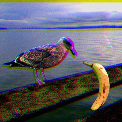 Knox Bronson ~ Riding The Wild Bubble