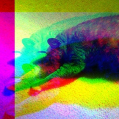 Knox Bronson ~ Riding The Wild Bubble