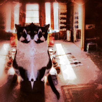 Knox Bronson ~ Riding The Wild Bubble