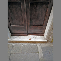 Inediti dalla seconda parte di Peter Rabbit