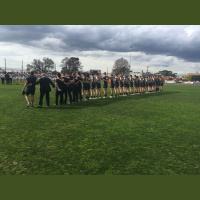 Round 19 post-match: Brad Walsh