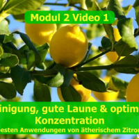 Modul 1 Video 1 Die besten Anwendungen mit ätherischem Zitronenöl