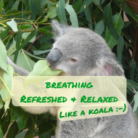 0007 Breathing Refreshed And Relaxed (like A Koala  - )