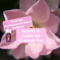 0079 Feelings Schritt 5 Lasse Los Und Werde Frei