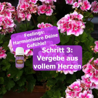 Feelings Schritt 3 Vergebe aus vollem Herzen!