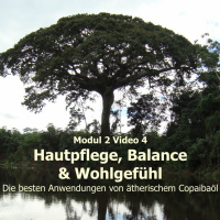 Modul 2 Video 4 Copaiba