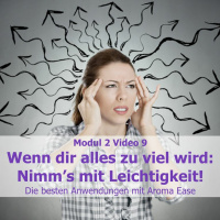 Modul 2 Video 9 Wenn dir alles zu viel wird - Nimms mit Leichtigkeit