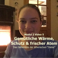 Modul 2 Video 5 Das Geheimnis Der Aetherischen Diebe