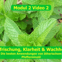 Modul 1 Video 2 Die besten Anwendungen mit ätherischem Pfefferminzöl