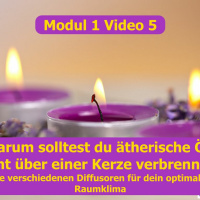 AEOE Modul 1 Video 5 Die verschiedenen Diffusoren für dein optimales Raumklima