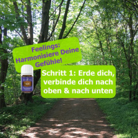 Feelings 1 Erde dich, verbinde dich nach oben  nach unten