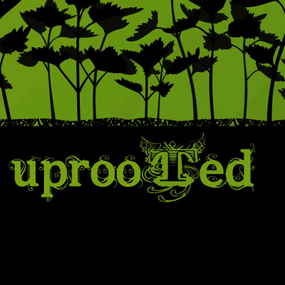 Burlington Baptist Church Podcast