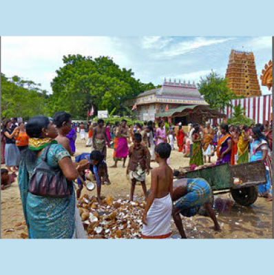 Media Network Vintage Vault 2018-2019