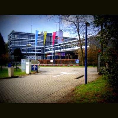 Media Network Vintage Vault 2018-2019