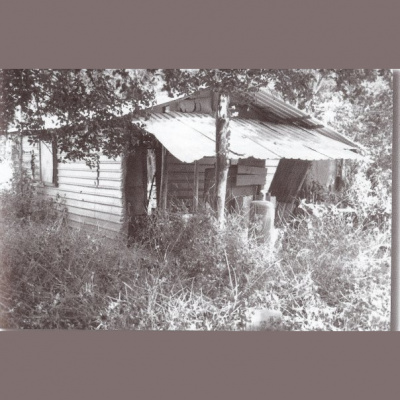 Media Network Vintage Vault 2018-2019