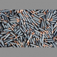 Defending the Capital by P.J. Kaiser (#Fridayflash)