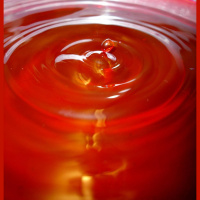 Zoning Patrol by PJ Kaiser (#FridayFlash)