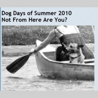 ditz alert #spokensunday